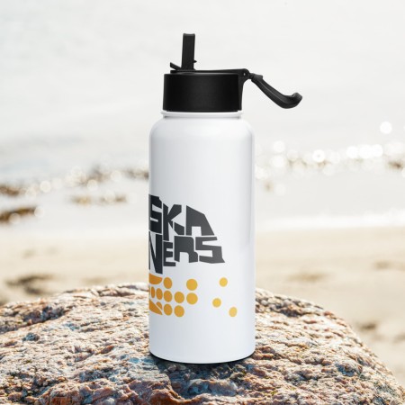 Stainless steel water bottle with a straw lid