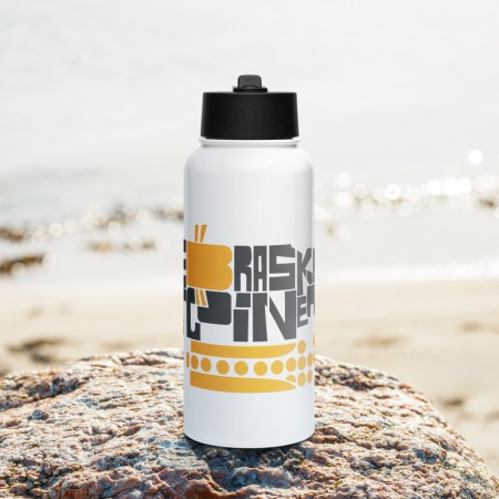 Stainless steel water bottle with a straw lid