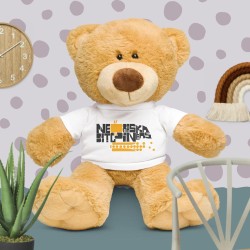 Teddy bear with a t-shirt