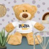 Teddy bear with a t-shirt