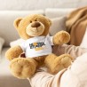 Teddy bear with a t-shirt